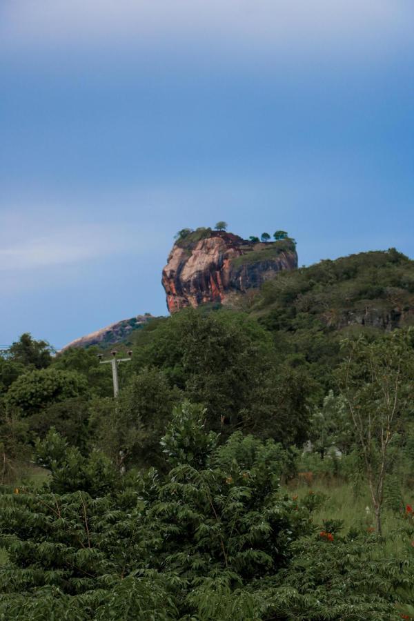 Sigiri Gayani Home Stay Сігірія Екстер'єр фото