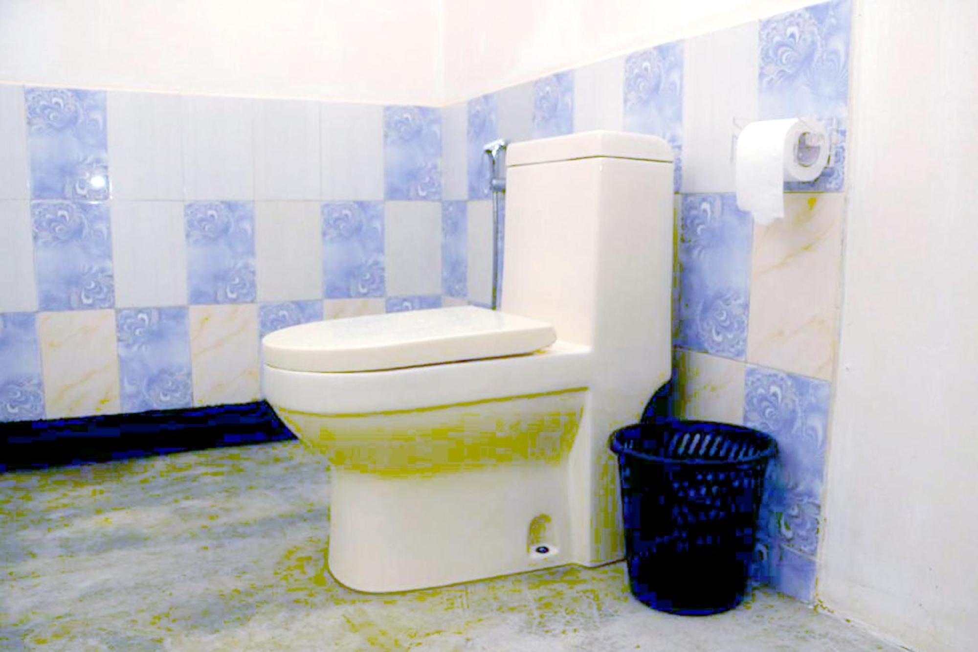 Sigiri Gayani Home Stay Сігірія Екстер'єр фото